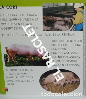Libros de segunda mano: LLIBRE - LA GRANJA -BESTIOLES N&ordm; 2 - EN CATAL&Aacute; - Foto 4