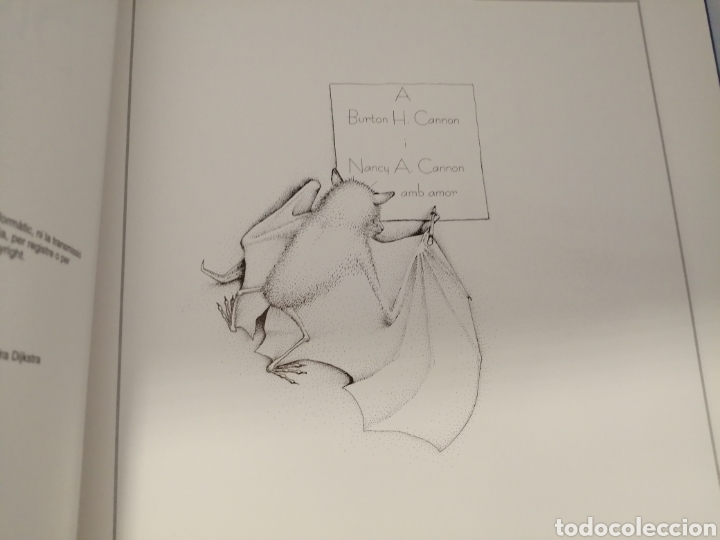 Libros de segunda mano: Stelalluna (Catal&aacute;n) - Foto 4