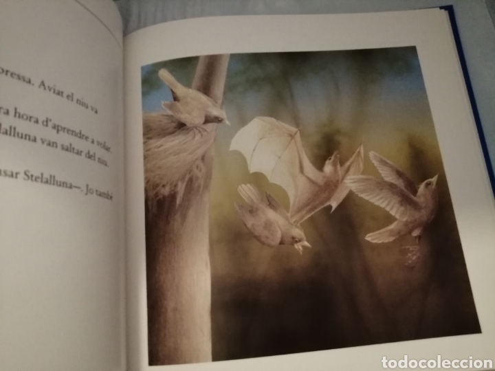 Libros de segunda mano: Stelalluna (Catal&aacute;n) - Foto 5