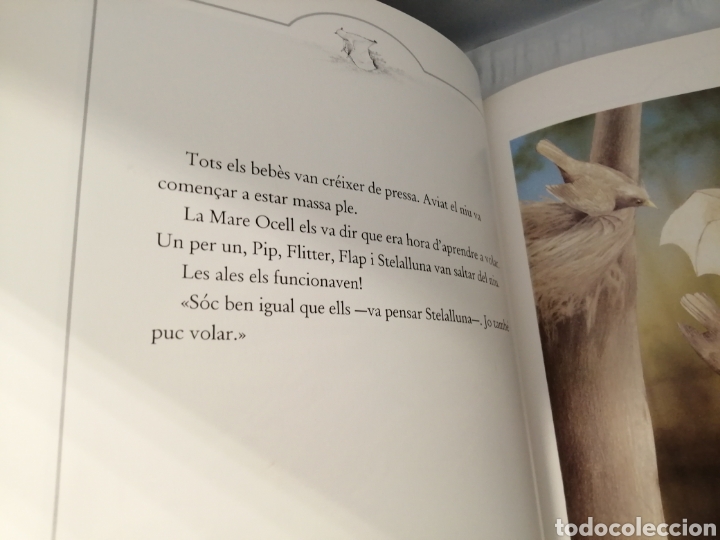 Libros de segunda mano: Stelalluna (Catal&aacute;n) - Foto 6