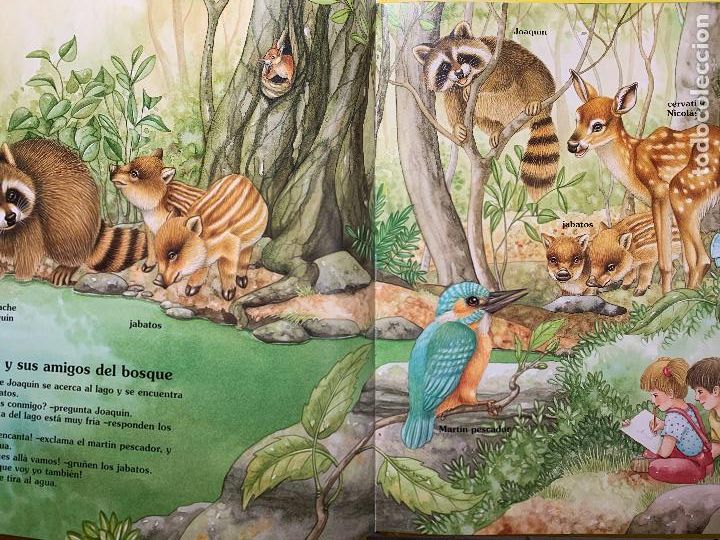Libros de segunda mano: LIBRO CUENTO HISTORIA DE LOS ANIMALES - Foto 4
