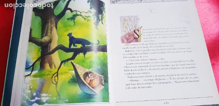 Libros de segunda mano: LIBRO/EL LIBRO DE LA SELVA-DISNEY-EVEREST-EXCELENTE - Foto 16