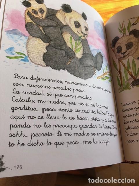 Libros de segunda mano: CUENTOS CON ANIMALES - EDICIONES SUSAETA - Foto 3