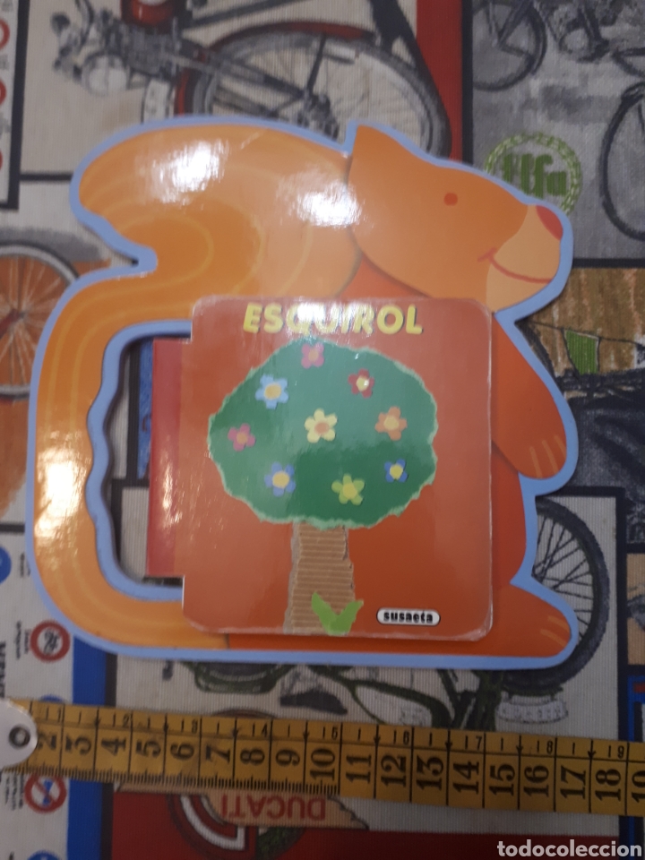 Libros de segunda mano: Esquirol. Susaeta. En catal&agrave;. - Foto 1