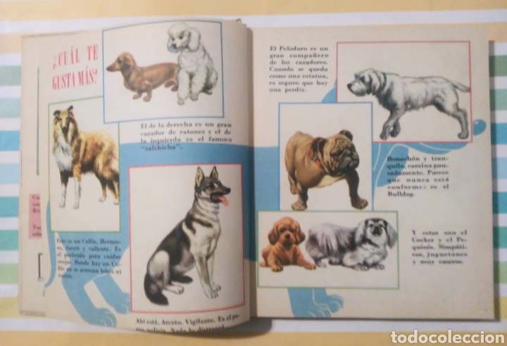 Libros de segunda mano: Cuentos de codelin publex 1964 edicion de 3000 ejemplares - Foto 6