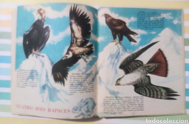 Libros de segunda mano: Cuentos de codelin publex 1964 edicion de 3000 ejemplares - Foto 13