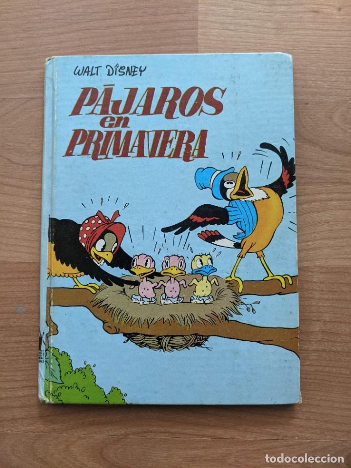 Libros de segunda mano: P&Aacute;JAROS EN PRIMAVERA - Foto 1