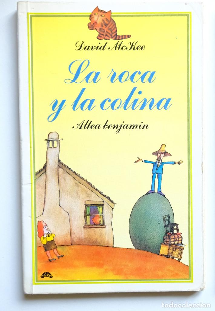 Libros de segunda mano: LA ROCA Y LA COLINA. DAVID MCKEE. ALTEA BENJAMIN - Foto 1