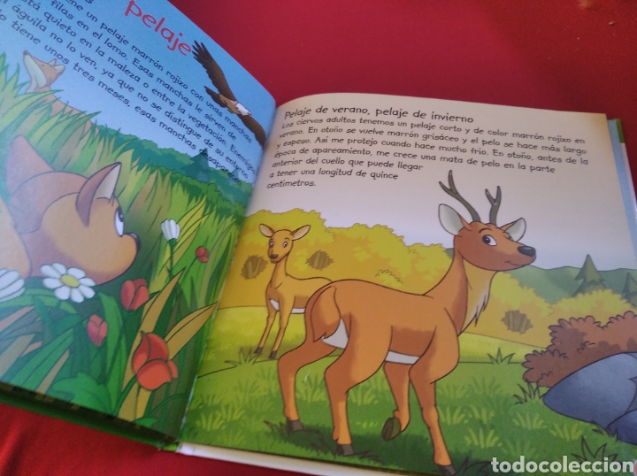 Libros de segunda mano: Libro cuento infantil el ciervo planeta agostini - Foto 2