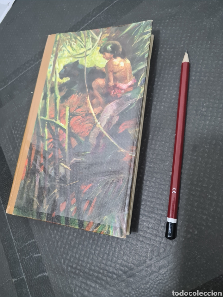 Libros de segunda mano: ESTAMOS LIQUIDANDO. El libro de la selva, 1964, rudyard kipling - Foto 2