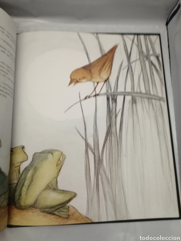 Libros de segunda mano: CONTES INFANTILS DE MERC&Egrave; RODOREDA - Foto 3
