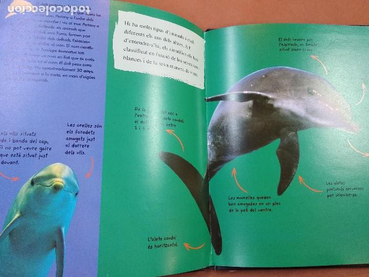 Libros de segunda mano: el petit dof&iacute; - combel editorial - JUB - Foto 2