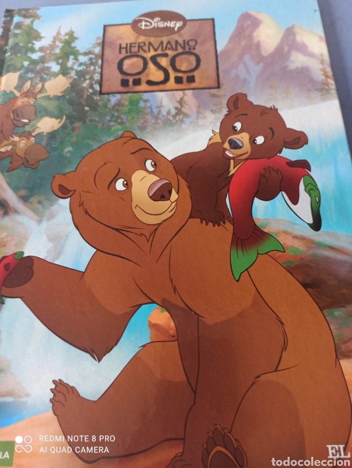 Libros de segunda mano: Hermano Oso. Disney - Foto 1