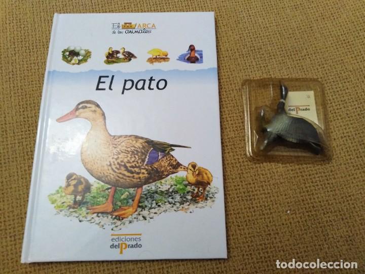 Libros de segunda mano: El Arca de los animales La Foca Ediciones del Prado - Foto 1