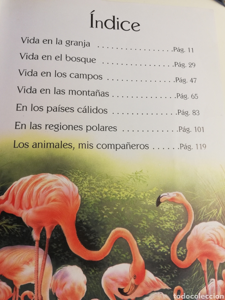 Libros de segunda mano: HISTORIAS DE ANIMALES (SERVILIBRO) - Foto 3