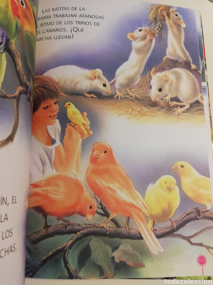Libros de segunda mano: HISTORIAS DE ANIMALES (SERVILIBRO) - Foto 4