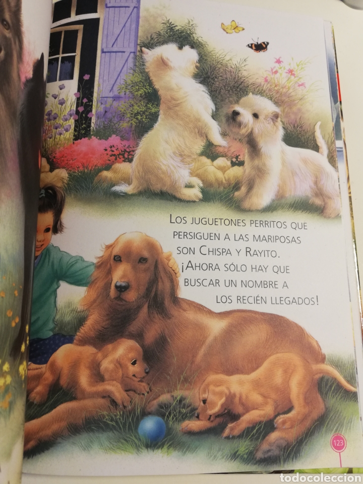 Libros de segunda mano: HISTORIAS DE ANIMALES (SERVILIBRO) - Foto 5