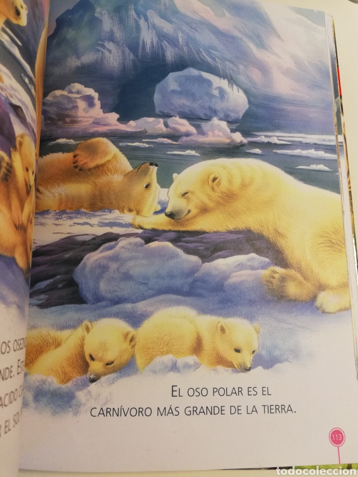 Libros de segunda mano: HISTORIAS DE ANIMALES (SERVILIBRO) - Foto 6