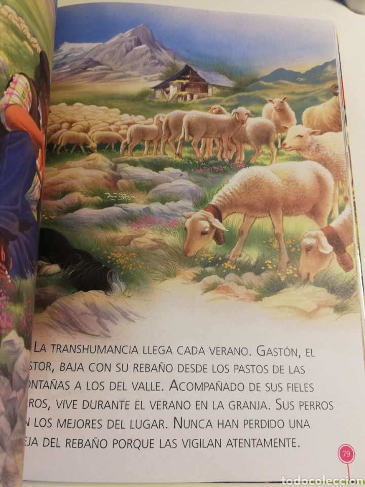 Libros de segunda mano: HISTORIAS DE ANIMALES (SERVILIBRO) - Foto 8