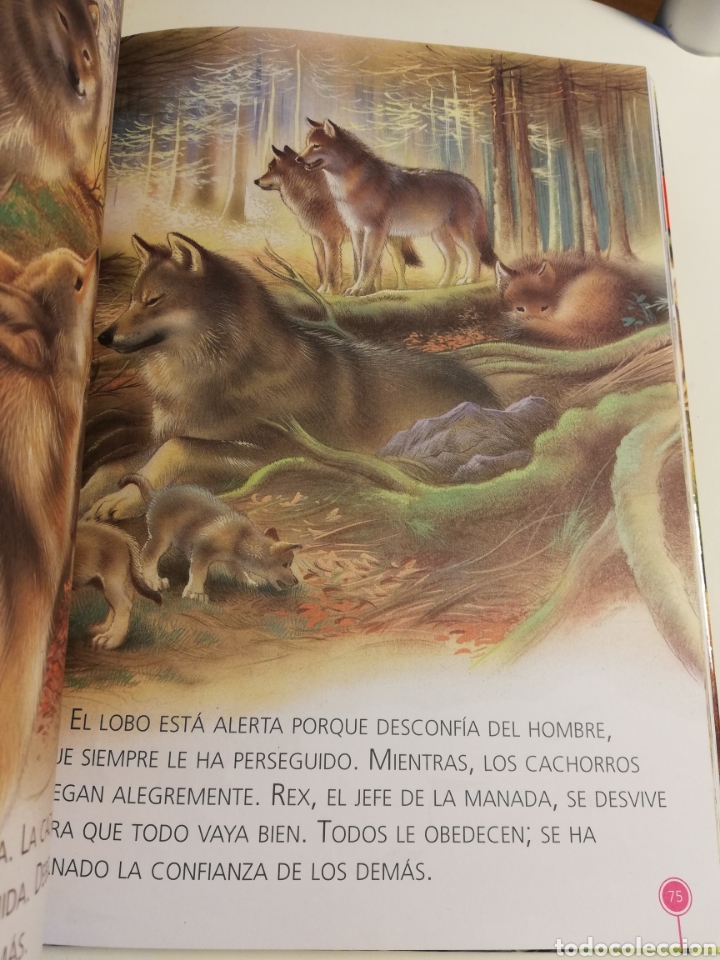 Libros de segunda mano: HISTORIAS DE ANIMALES (SERVILIBRO) - Foto 9