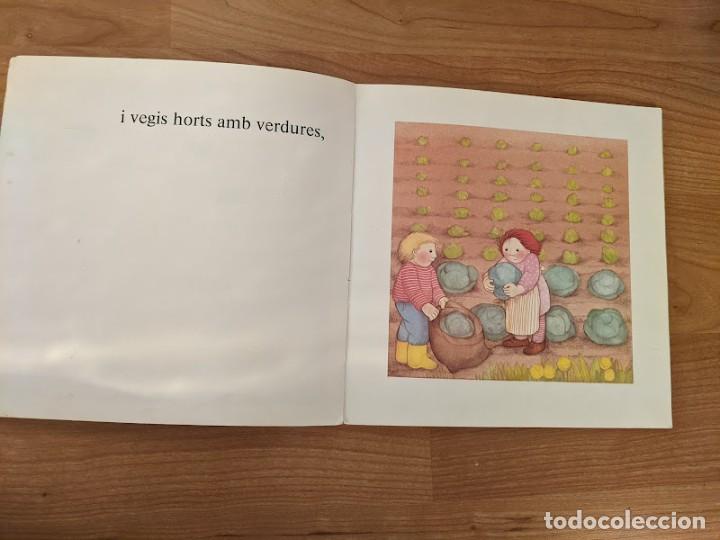 Libros de segunda mano: CUENTO &laquo;EL CAMP&raquo; EDITORIAL PARRAMON - Foto 4