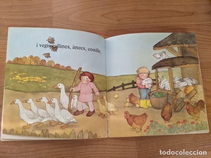 Libros de segunda mano: CUENTO &laquo;EL CAMP&raquo; EDITORIAL PARRAMON - Foto 5