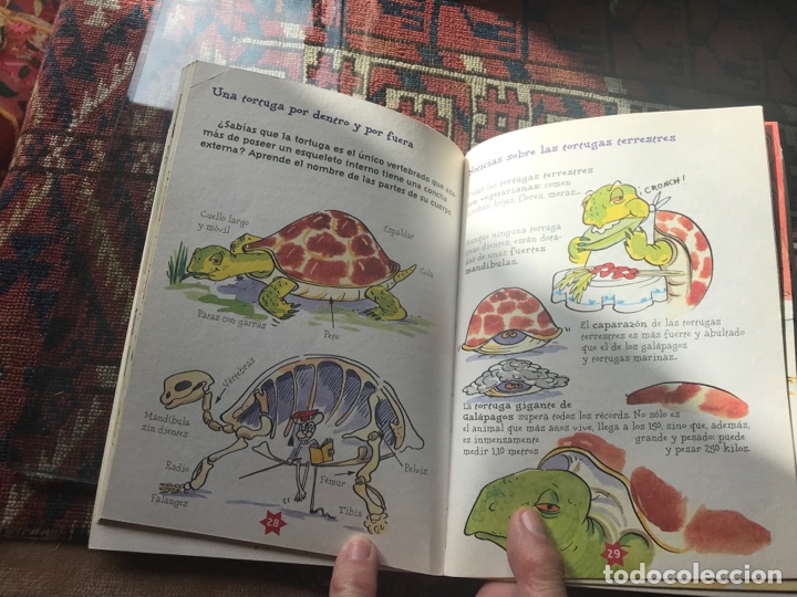 Libros de segunda mano: Animales armados. Altea - Foto 4