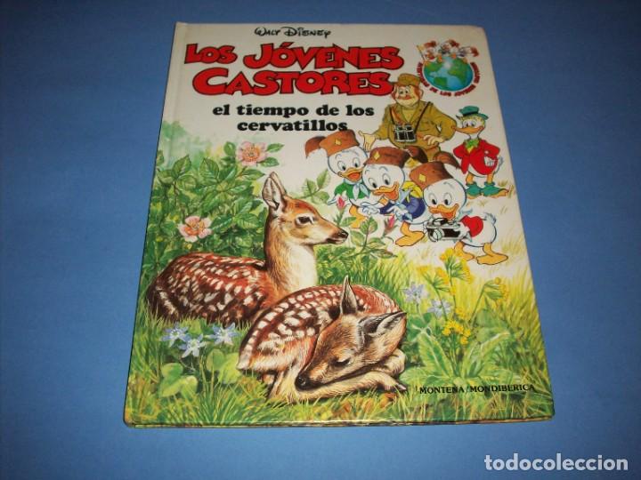 Libros de segunda mano: los jovenes castores, el tiempo de los cervatillos