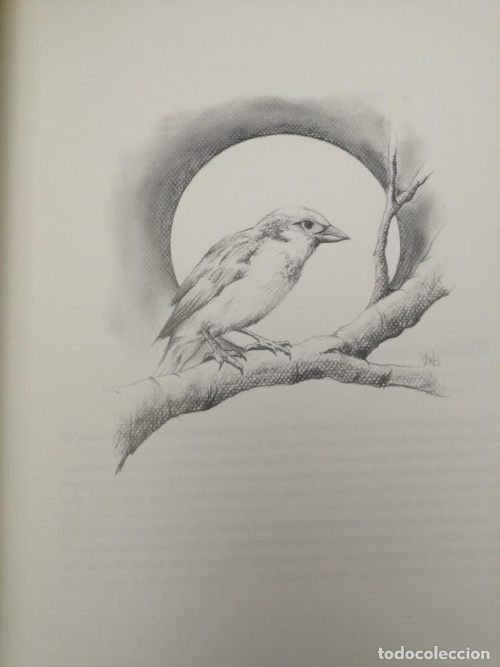 Libros de segunda mano: EL GORRI&Oacute;N/ THE SPARROW (EDICI&Oacute;N BILING&Uuml;E) - Foto 8