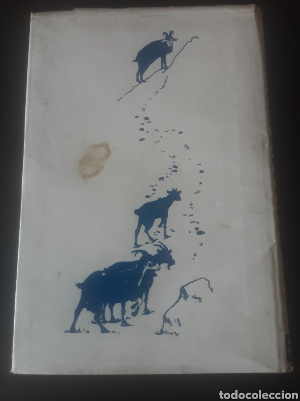 Libros de segunda mano: Otra vez Heidi -Juana Spyri- - Foto 3