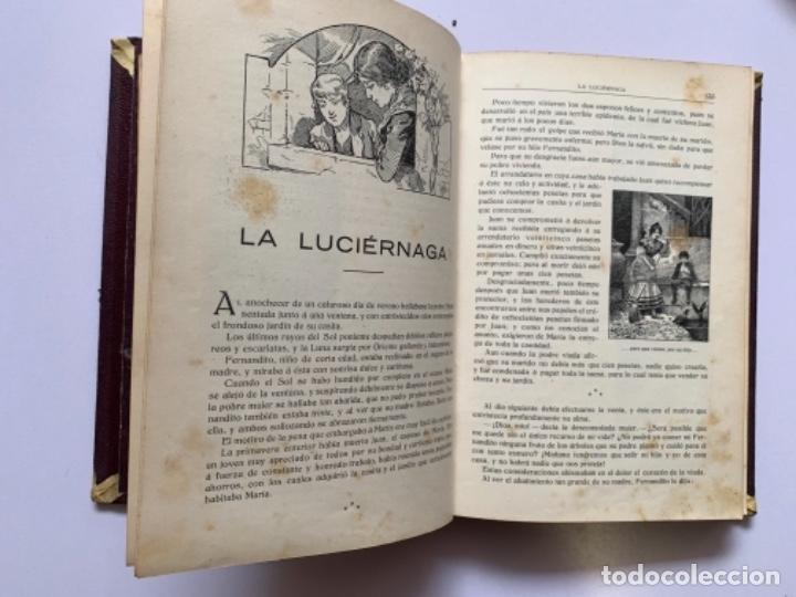 Libros de segunda mano: Cuentos escogidos, Crist&oacute;bal Schmid (Pl&aacute;st. 1) - Foto 4