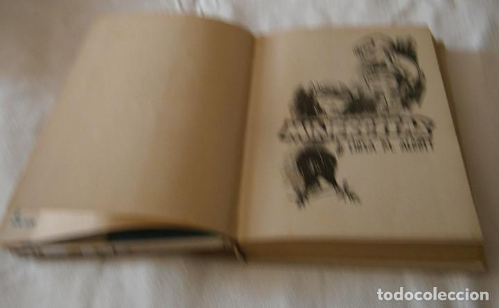 Libros de segunda mano: mujercitas Editorial Molino 1956 - Foto 2