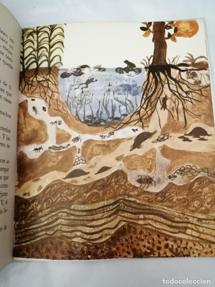 Libros de segunda mano: LA TIERRA QUE PISAS - Foto 5