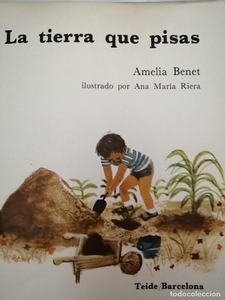 Libros de segunda mano: LA TIERRA QUE PISAS - Foto 3