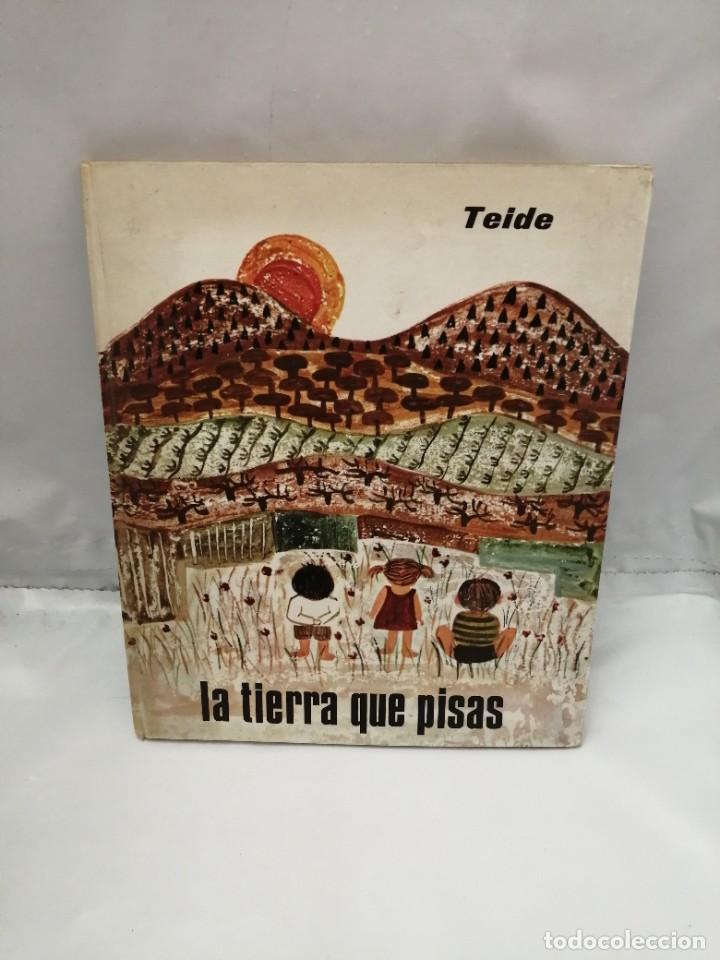 Libros de segunda mano: LA TIERRA QUE PISAS - Foto 1