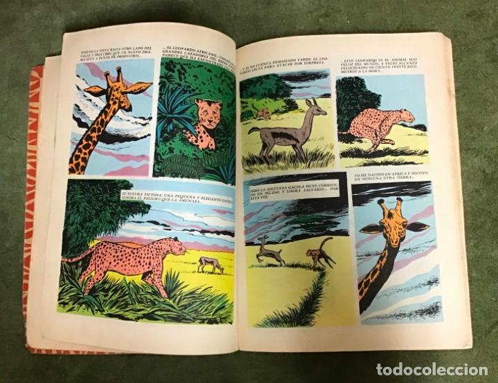 Libros de segunda mano: DUMBO N&ordm; 40, EL ELEFANTE 1974 - Foto 4