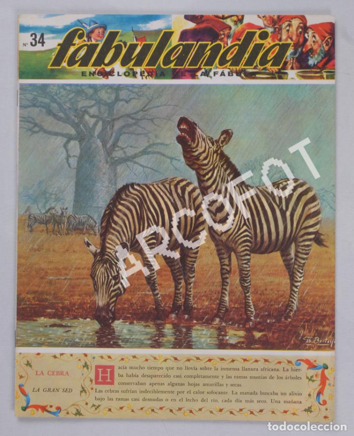 Libros de segunda mano: FABULANDIA N&ordm; 34 - ENCICLOPEDIA DE LA F&Aacute;BULA - CODEX 1964 - Foto 1