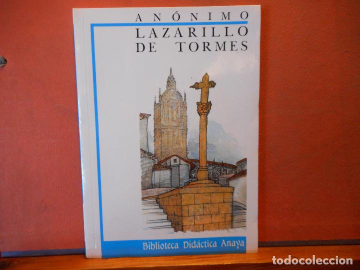 Libros de segunda mano: LAZARILLO DE TORMES. AN&Oacute;NIMO. EDICIONES ANAYA. - Foto 1