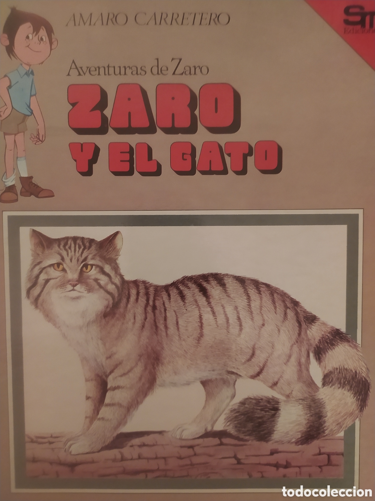 Libros de segunda mano: Aventuras de Zaro Zaro y el gato