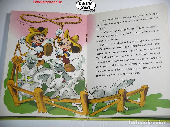 Libros de segunda mano: Pluto en el campo, ed. Molino 1961, Walt Disney - Foto 4