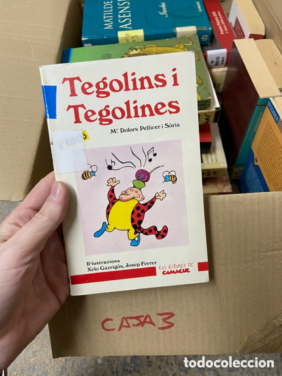 Libros de segunda mano: Caja3 Tegolins i Tegolines M: Dolors Pellicer i Soria