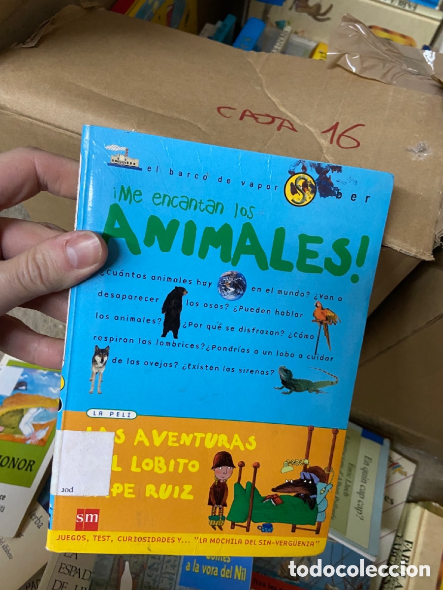 Libri di seconda mano: Caja16 ME ENCANTAN LOS ANIMALES. LAS AVENTURAS DEL LOBITO CAPE RUIZ el barco de vapor