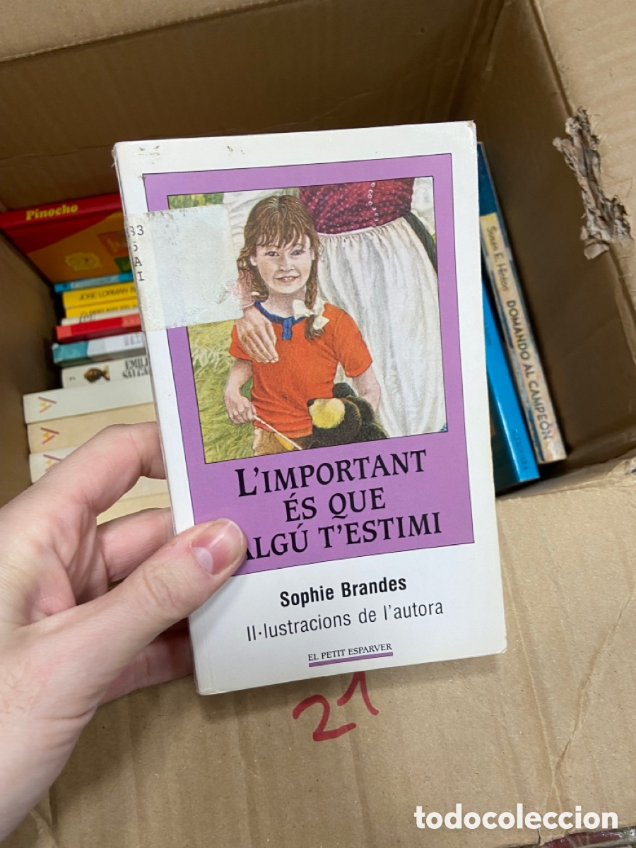 Gebrauchte B&uuml;cher: Caja21 L'IMPORTANT &Eacute;S QUE alg&uacute; T'ESTIMI Sophie Brandes II.lustracions de l'autora