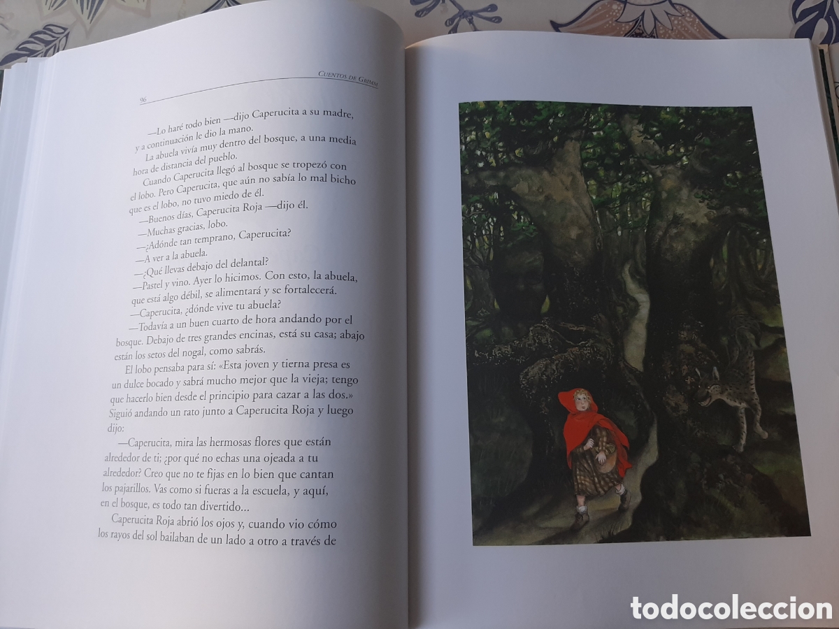 Libros de segunda mano: CUENTOS DE GRIMM ANAYA ILUSTRADA GRAN FORMATO - Foto 11