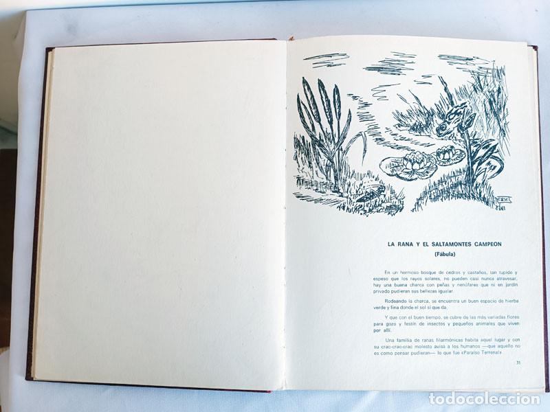 Libros de segunda mano: LIBRO DE FABULAS DE CARMEN - Foto 3