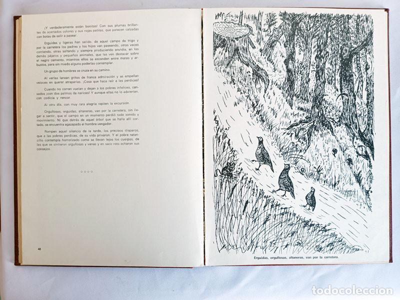 Libros de segunda mano: LIBRO DE FABULAS DE CARMEN - Foto 4