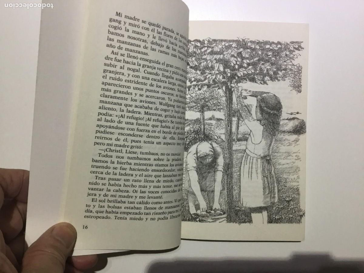 Libros de segunda mano: VOLVEREMOS A ENCONTRARNOS. NUEVO - Foto 3