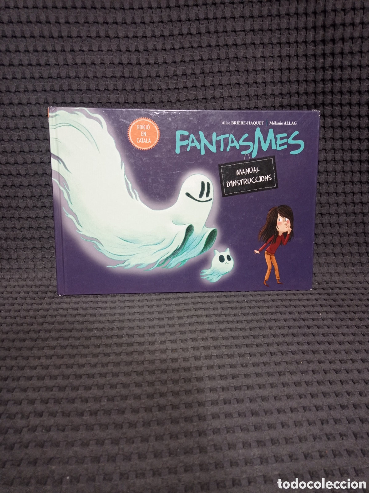 Libros de segunda mano: Fantasmes manual dinstruccions - Foto 1