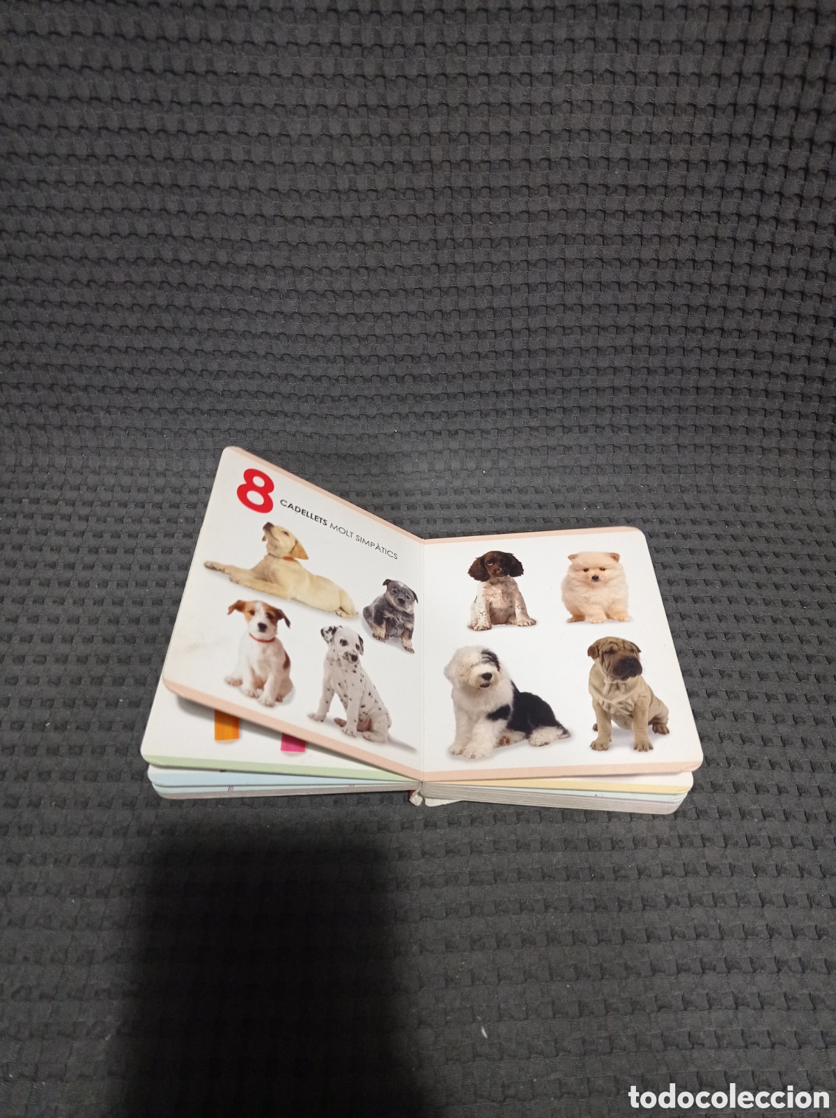 Libros de segunda mano: Llibres petits 1 2 3 - Foto 11