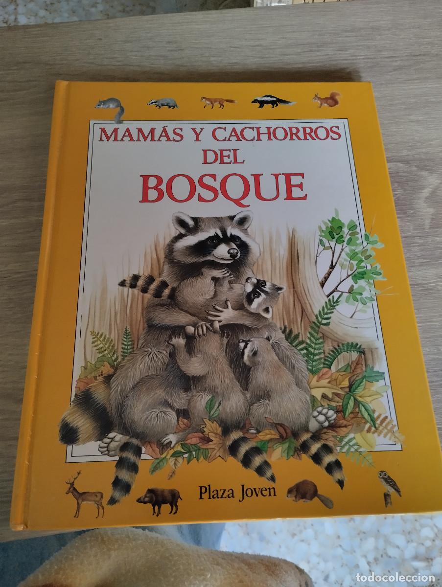 Libros de segunda mano: mamas y cachorros del bosque - Foto 1